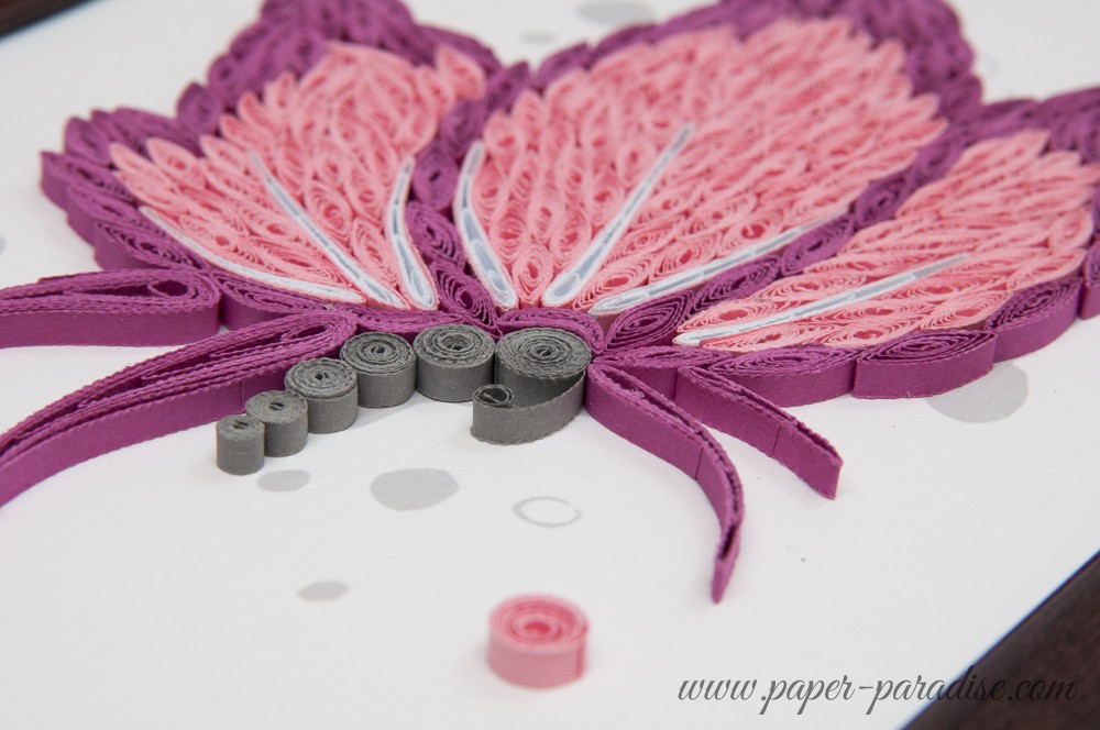 motyl quilling butterfly quilling