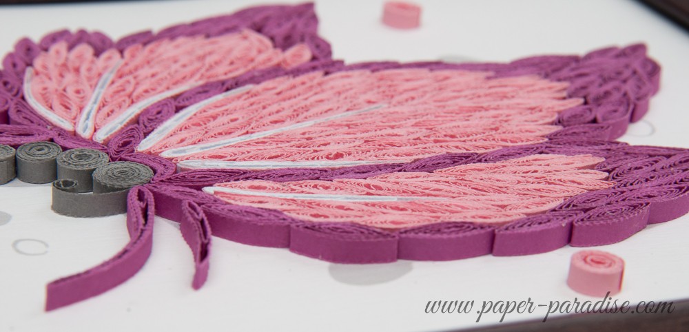 obrazek motyl quilling butterfly quilling