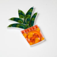 Obrazek – Aloes