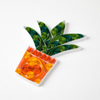 Obrazek – Aloes