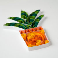 Obrazek – Aloes