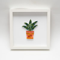 Obrazek – Aloes