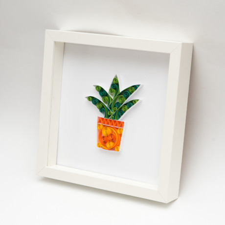 Obrazek – Aloes