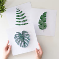Kolekcja – Papierowa Dżungla