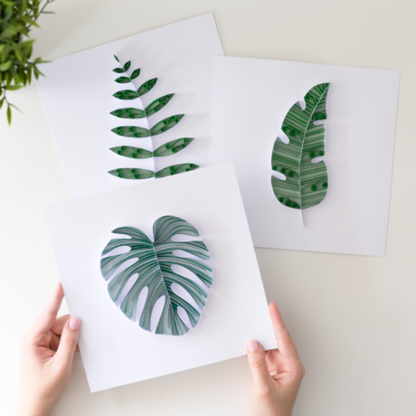 Kolekcja – Papierowa Dżungla