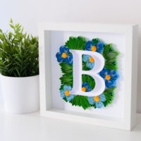 Litera B – Niebieskie kwiaty